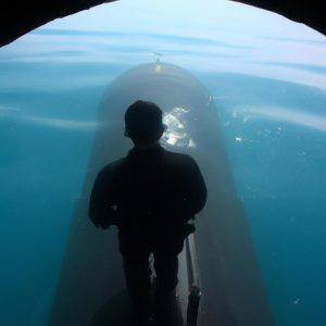Person operating submarine in water